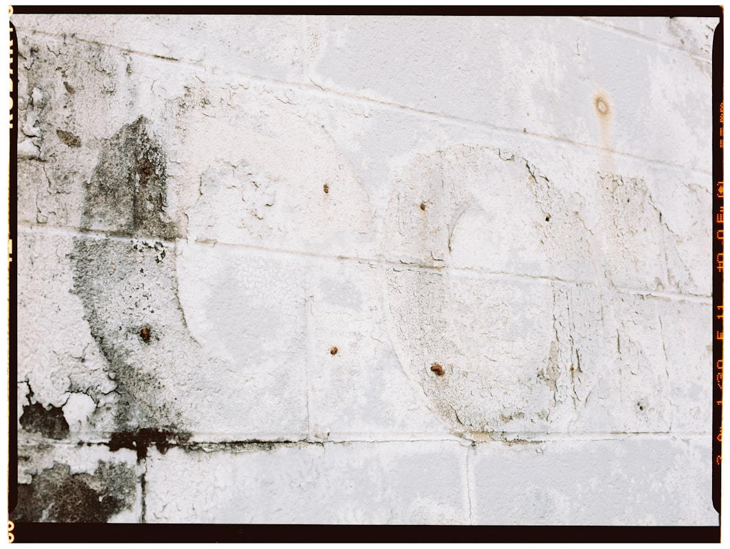 Water Extraction service in Everett, MA